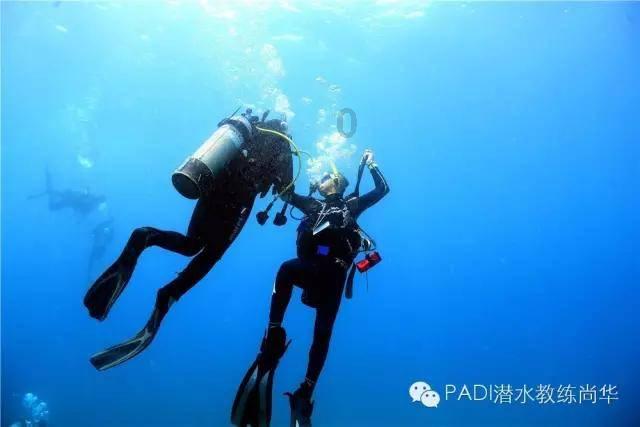 奇异人生暴风前夕